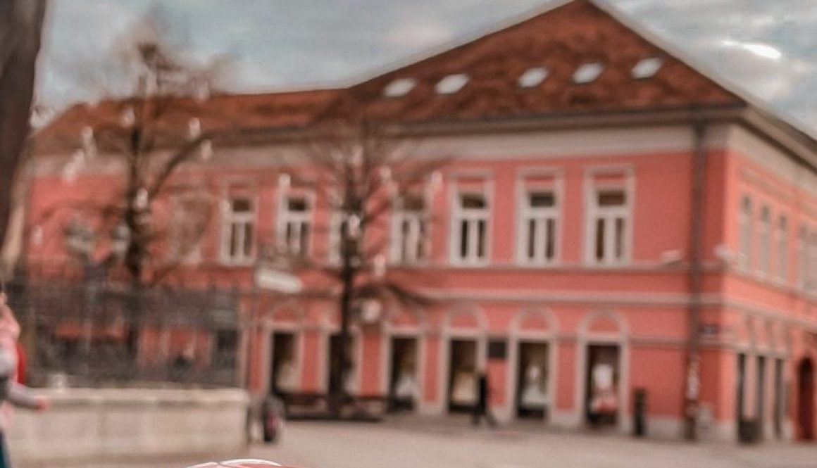 „Нови Сад кроз објектив“ Галерија